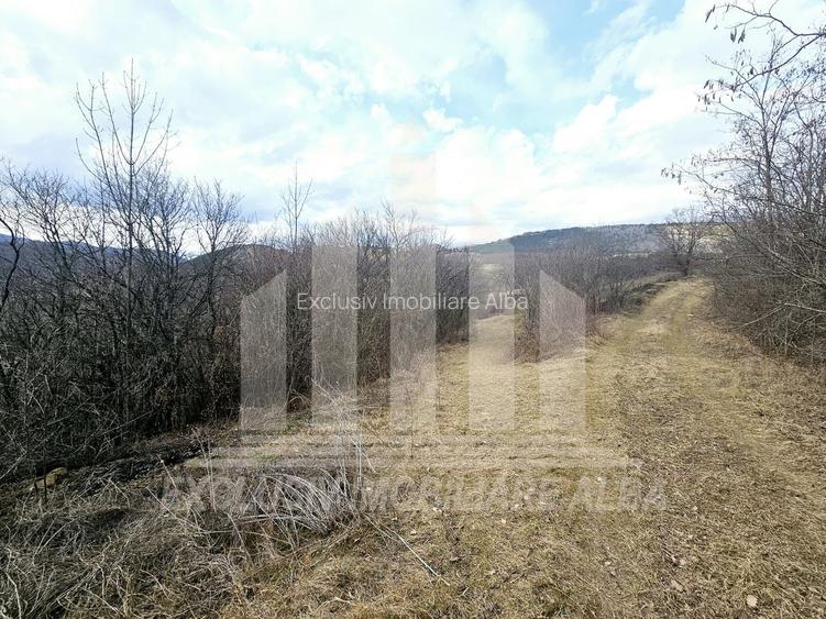 Teren intravilan | De vanzare | 12211 mp | Geogiu de Sus - 6