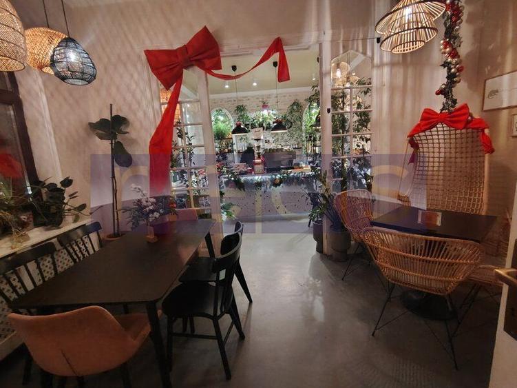 VILA EXCEPTIONALA PARCUL CAROL |  5 STUDIOURI | SPATIU HORECA FUNCTIONAL | - 2