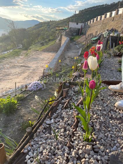 Svinita, teren la Dunare - 4