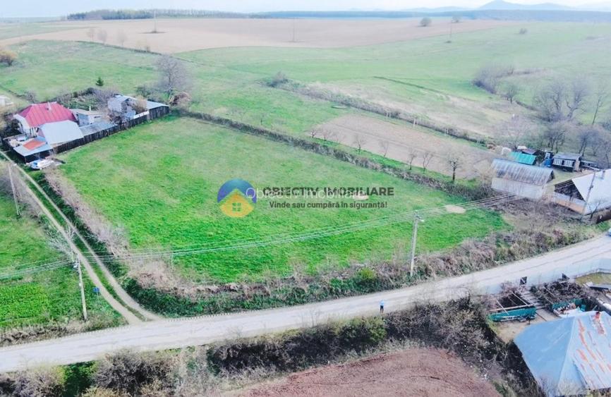 TEREN  intravilan  2879 mp DOBRENI - 5