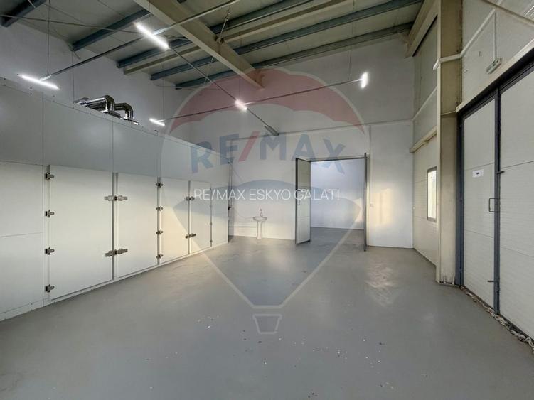 Teren agricol 13,1 ha + Hală 700 mp + Utilaje Agricole - Piscu, Galati - 5