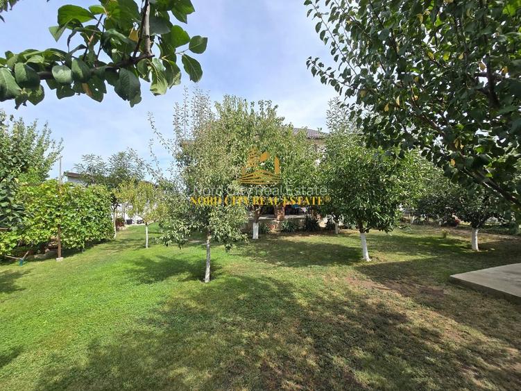 De vanare - Casa Dragomiresti Vale - 6