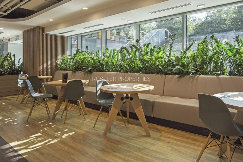 Spatiu de birou pentru inchiriat in cladirea myhive S-PARK - Casa Presei-Miorita - 7