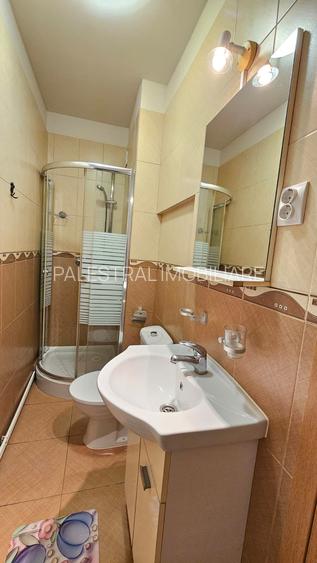 Casa Cenreul Civic-Mesota,mobilata-utilata,500 Euro - 10