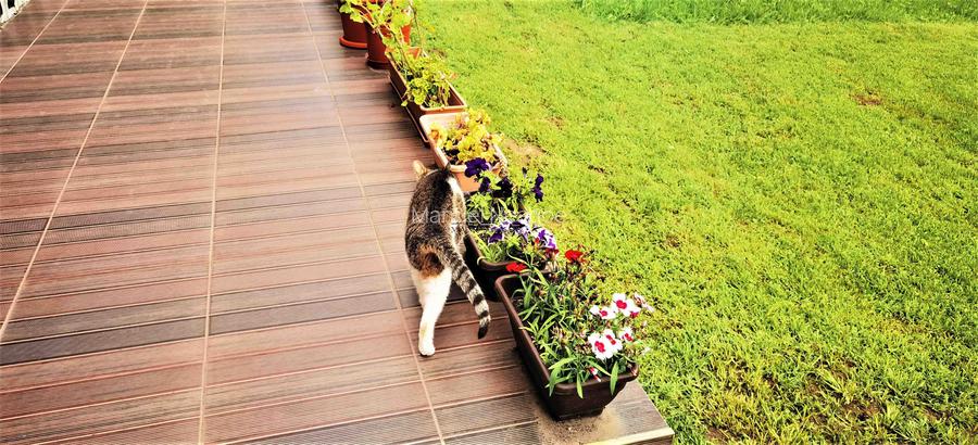 Manuel recomanda : Vila superba in Cornu de Jos 295mp , teren 1360mp - 32