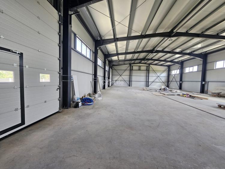 Hala noua de inchiriat str. Trei Fantani - 10