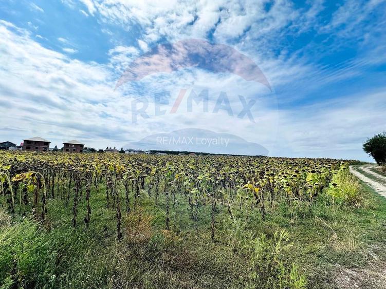 Teren 14.863mp, deschidere 42mp, acces 3 laturi - Ciorogarla, langa A0 - 7