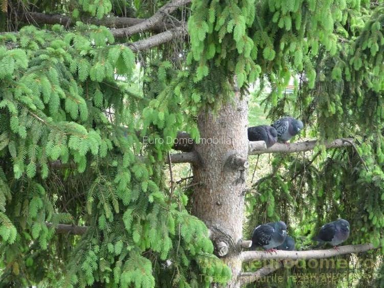 Exclusivitate garsoniera pretabila investitie, bloc de apartamente - 11