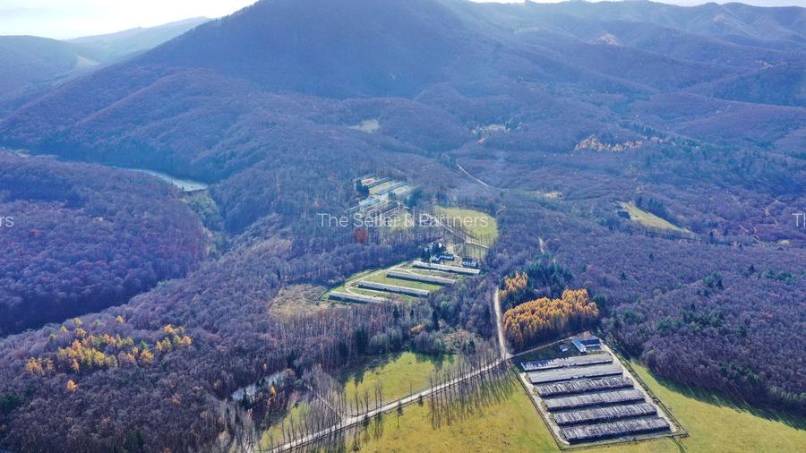 Teren Intravilan - Amplasare Unica - 19