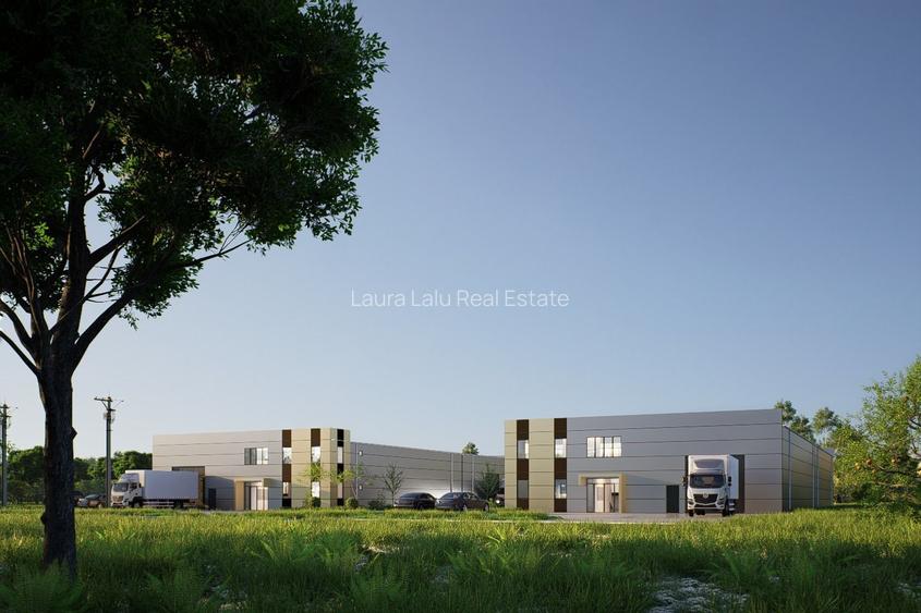 Hale noi de vanzare in Ciolpani - Proiect 2026 - 7