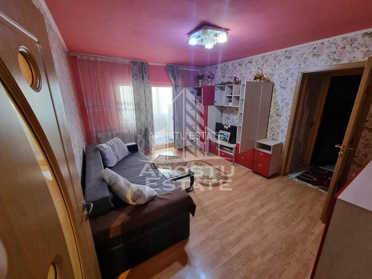 Apartament cu 2 camere de inchiriat, Timisoara, zona Lipovei, Centrala - 2