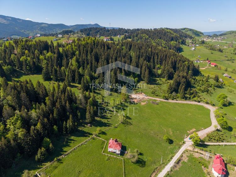 Fundata-Teren de vanzare 15,771 mp intravilan+extravilan+padure - 13