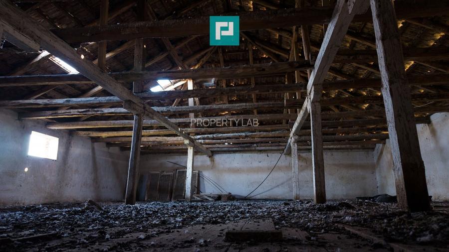 Hală industrială cu teren generos în Zărand, Arad - 37