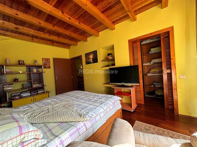 Vila Exclusivista Piatra Arsa Busteni - 8