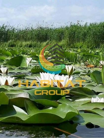 Teren intravilan Str Primaveri deschidere la lac Berceni - 3