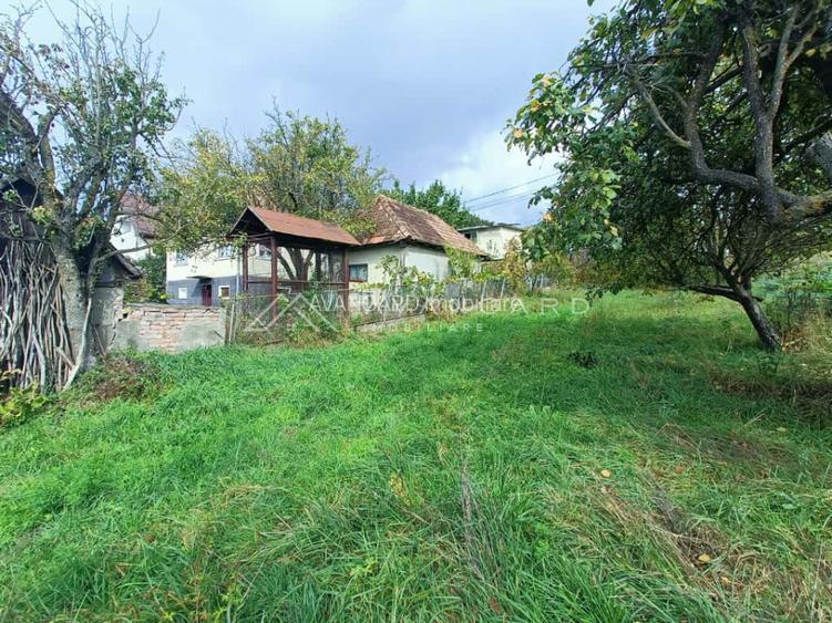 Teren autorizabil Liu | 1000mp | front 30ml | Borhanci - 9