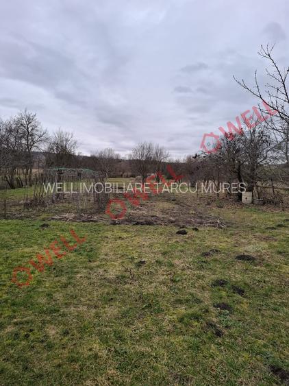 🏡 Casă de vânzare în Mitrești - 15