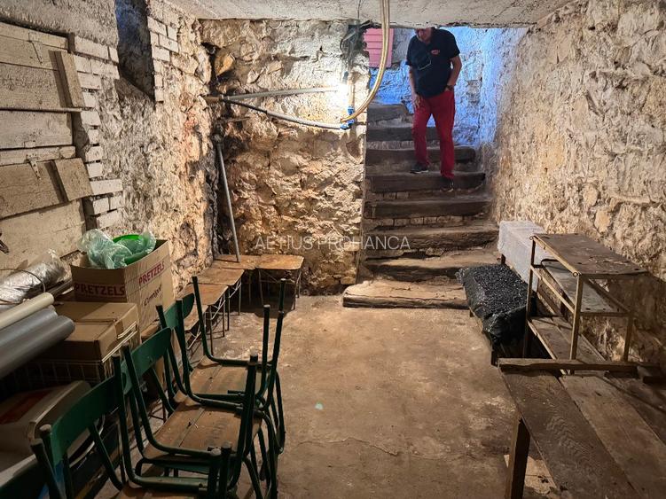 CASA INDIVIDUALA SOLIDA + ANEXE , STR EMINESCU, LA 5 MINUTE DE PIATA MICA - 16