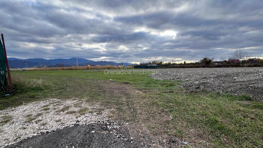 Teren 515 MP cu PUZ -  Constructie Casa Individuala - Stupini - Comision 0% - 6