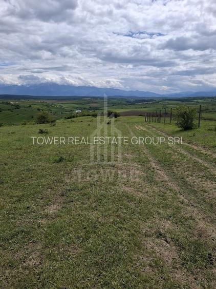 De vanzare, teren 11.500 mp – Dealul Dăii,  Vedere panoramică spre munți și lac - 2