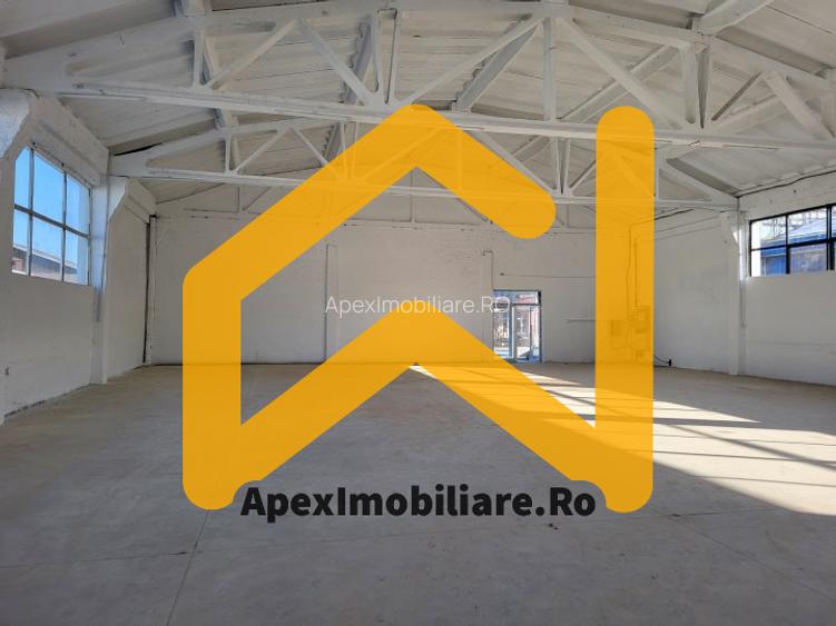 Hala Malu Rosu, Vest Ploiesti Xenia – 1800 mp, TIR, Parcare 50 Auto - 25