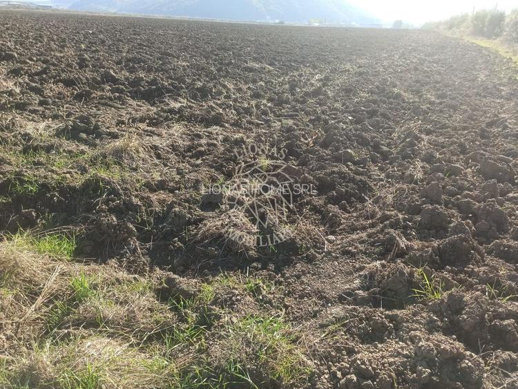 Teren 7500 mp-ideal agricultura, invetitie-Sarata - 3