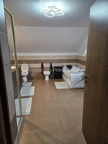 🏡 PROPRIETATE DE EXCEPȚIE – ZONĂ ULTRACENTRALĂ, BAIA MARE - 10