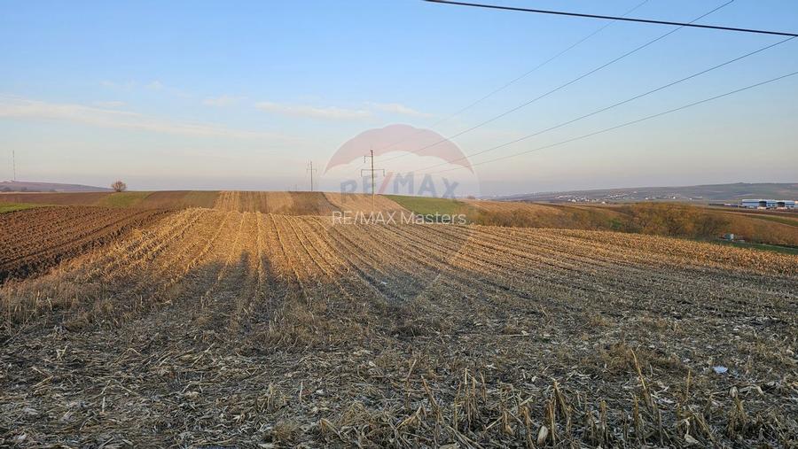 Teren Extravilan 2500 mp-Stroiesti, Suceava - 8