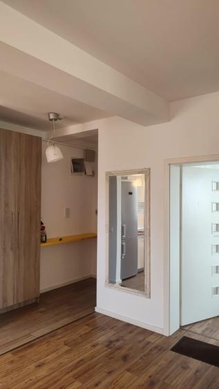Persoana fizica - inchiriez ap 2 camere - BRAYTIM - Muzicescu - Muzeul Apei