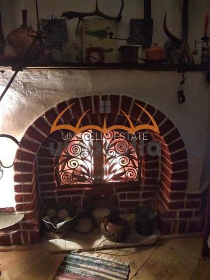 Conac - Casa Memoriala George Stephanescu - 12