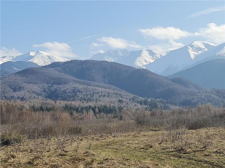 Teren intravilan 2500mp  pe Valea Avrigului,optim casa de vacanta