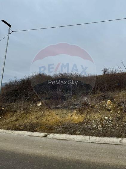 Teren Dezmir 2900 mp de vânzare, strada Trandafirilor, 0% Comision - 4