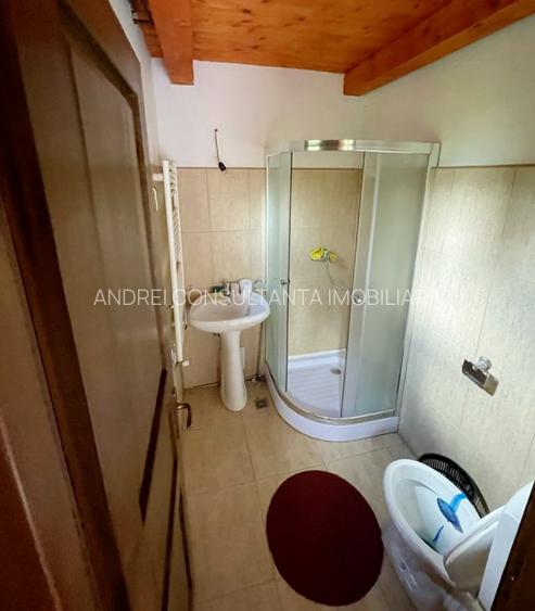 Vanzare vila noua mare (sau pensiune) la munte langa partia schi statiunea Ranca - 11