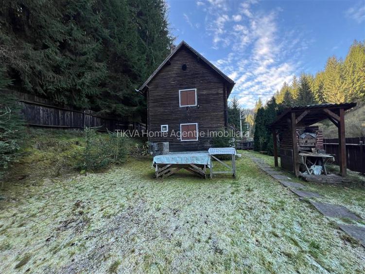 Casa de vacanta (Ciobotani, jud. Mures) - 18