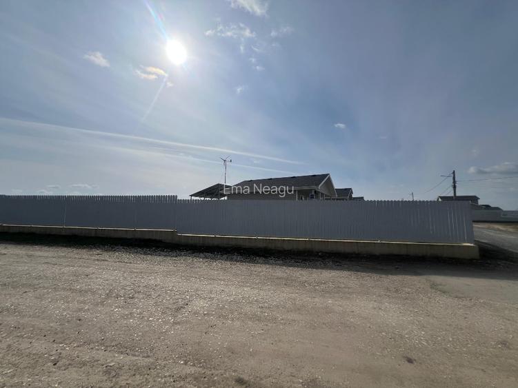 Casa Canadiana Siminoc ,Murfatlar - 11