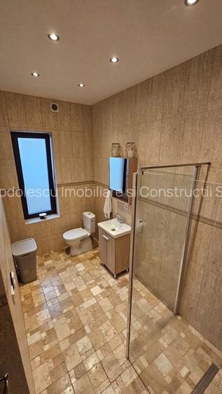 Vila individuala la 30 km de Timișoara - 11