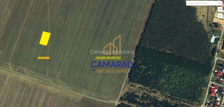 Teren de vanzare de 800 mp - Schitu (Costinesti) - 2