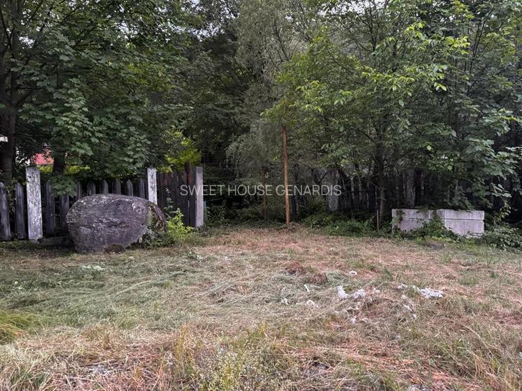 Oportunitate de investitie Cabana Cartisoara Zona Turistica - 16