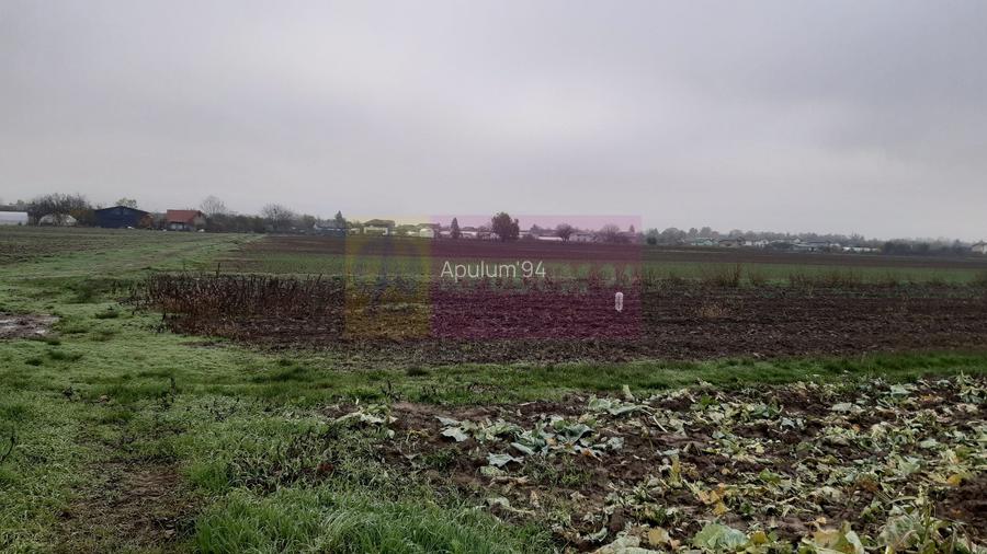 Teren Investiție aproape de București - 12