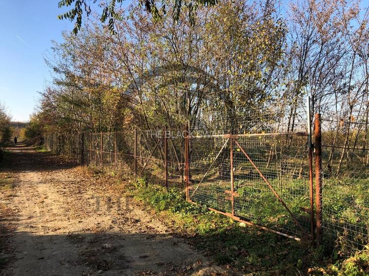 Teren intravilan de vanzare | 12.650 mp | Ghirdoveni, | Comision 0% - 9