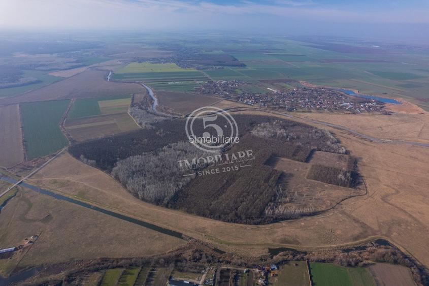 Padure de vanzare - Padurea lui Bolete, Fierbinti-Targ - 8