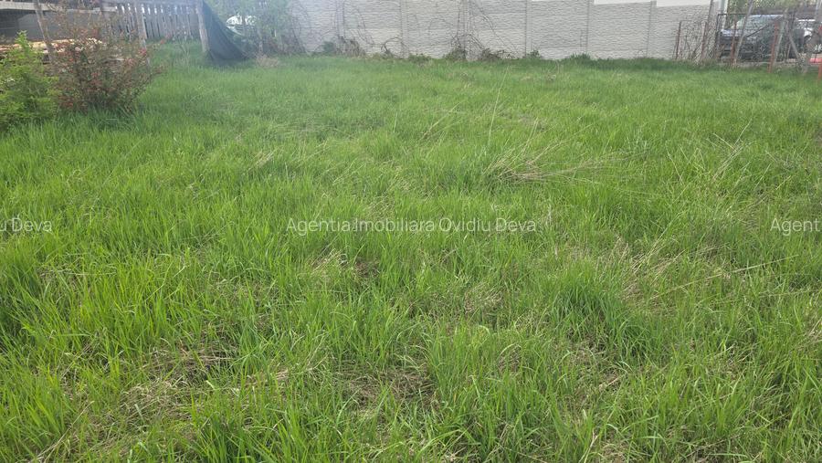 Vand teren intravilan in Zavoi partea de jos situat pe str. Sadoveanu, - 6