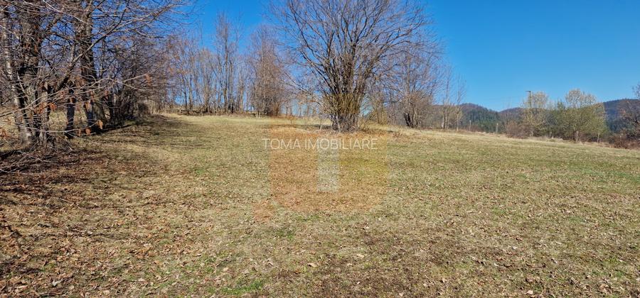 Teren intravilan de 4.000 mp în Bistrița – Alexandru cel Bun - 8