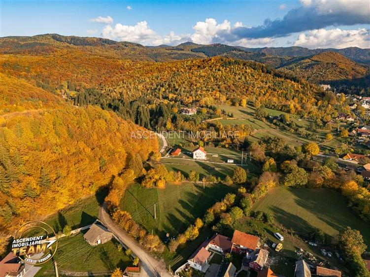 FILM! Vila intr-un peisaj mirific, cu 2.900mp teren, Covasna - 7