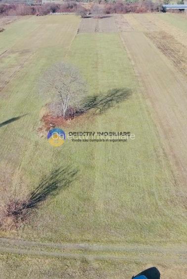 TEREN intravilan  4488 mp - PÂNGĂRAȚI - 10