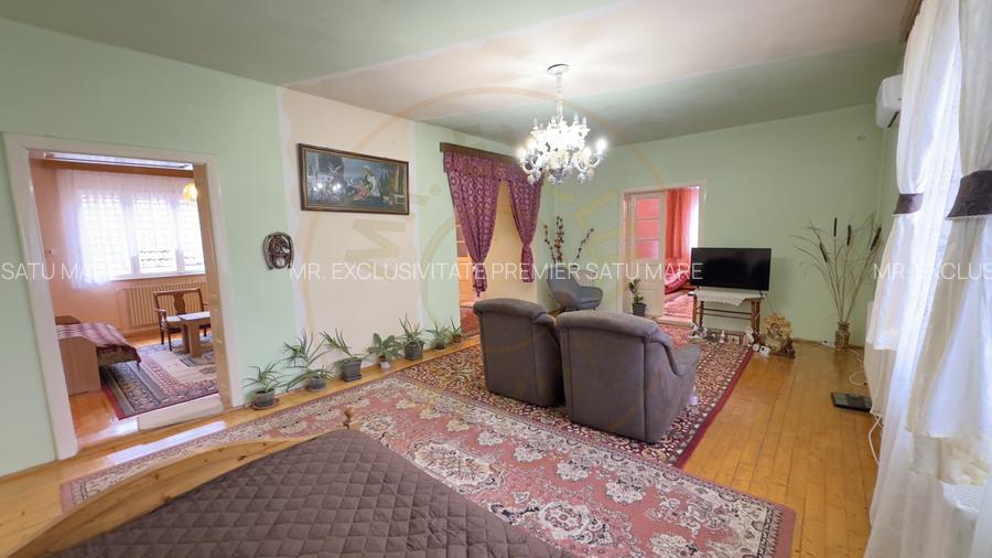 Casa 7 camere cu Teren 4.620 mp | Potential pentru rezidenta sau afacere | Carei - 5