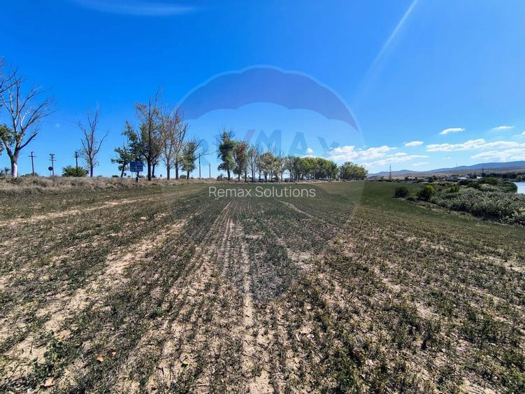 Teren extravilan de vanzare in Tulcea - 7