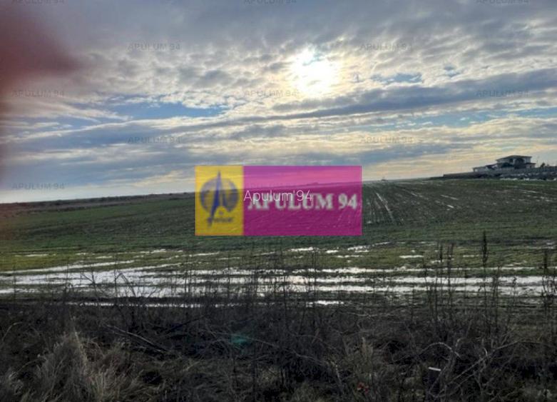 Teren Mihailesti- langa Dovinot. - 4