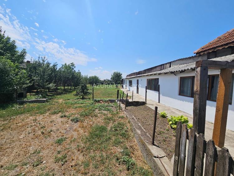 Casa si teren 3500 mp, Stefanesti - Golesti - 13