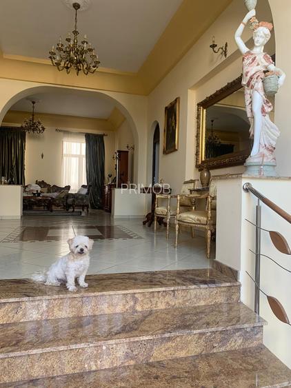 Ultracentral,vila S+P+E,faleza Dunarii,langa parc,Primaria Corabia,teren=1137mp - 21